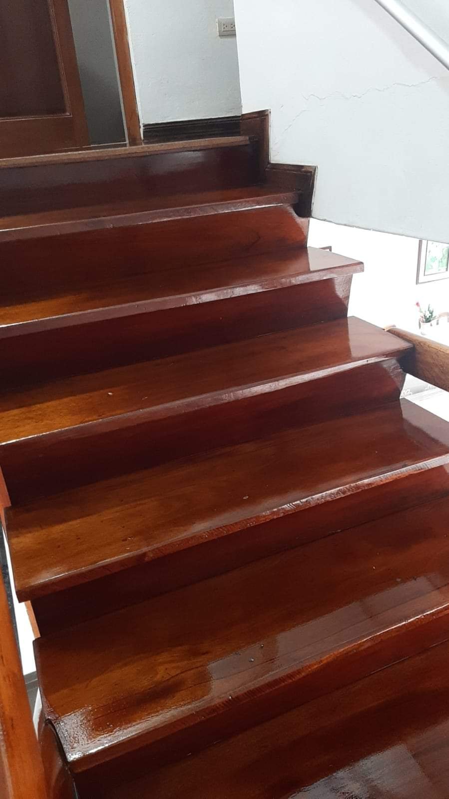 Parquet Tres Raíces 1