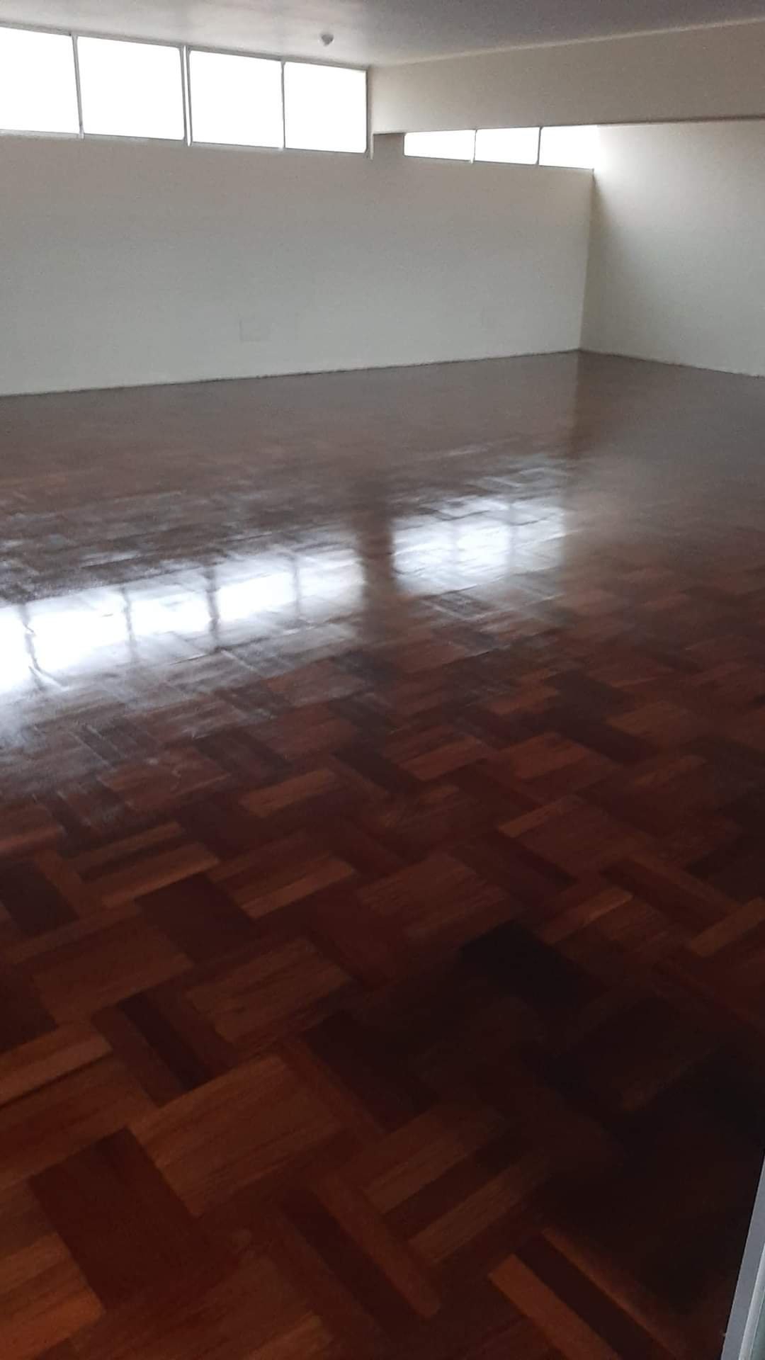 Parquet Tres Raíces 2