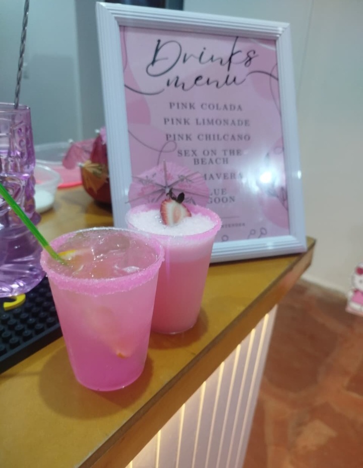Bartender a Domicilio 4