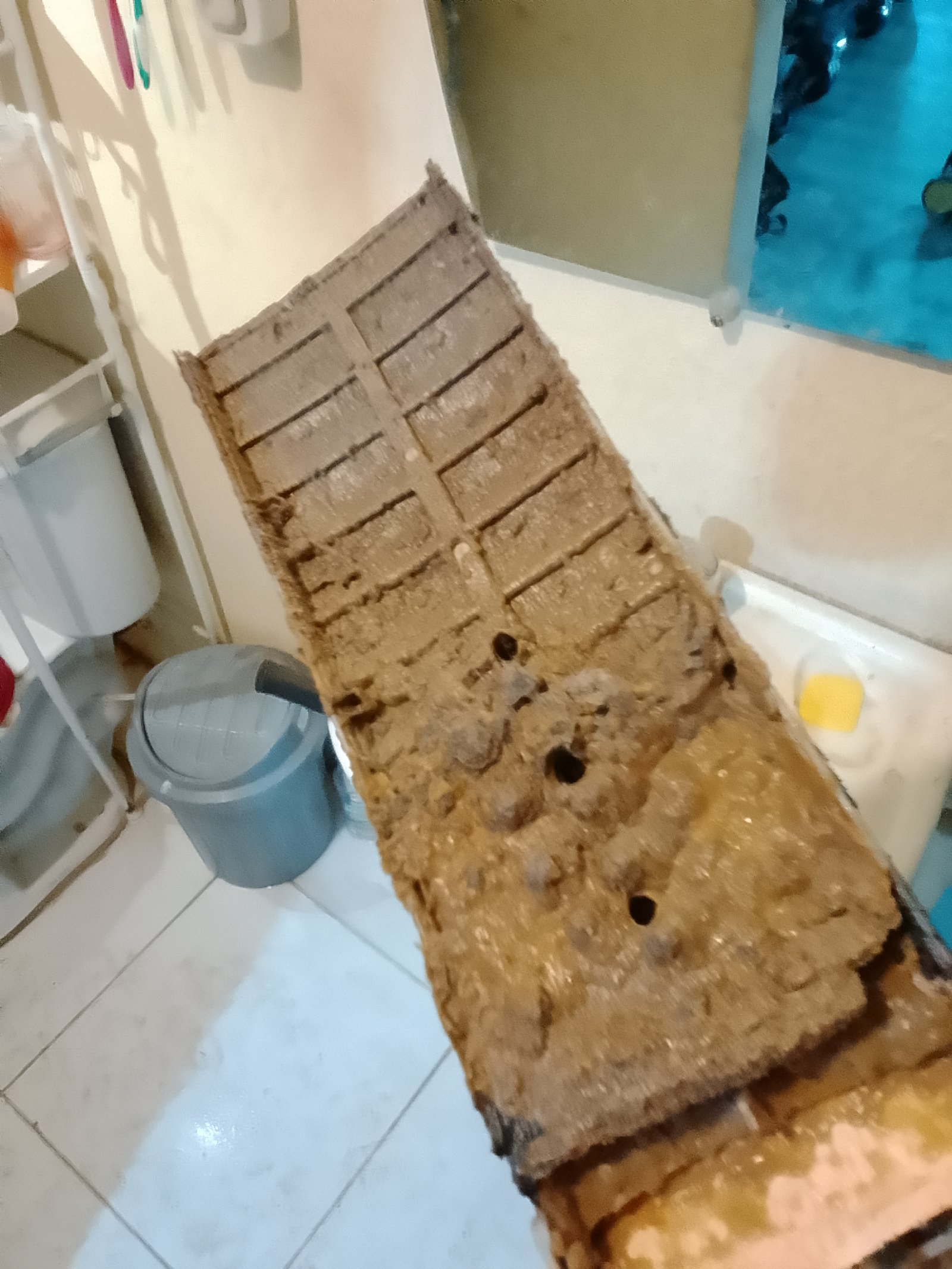 técnico en lavadora y secadora de ropa 2