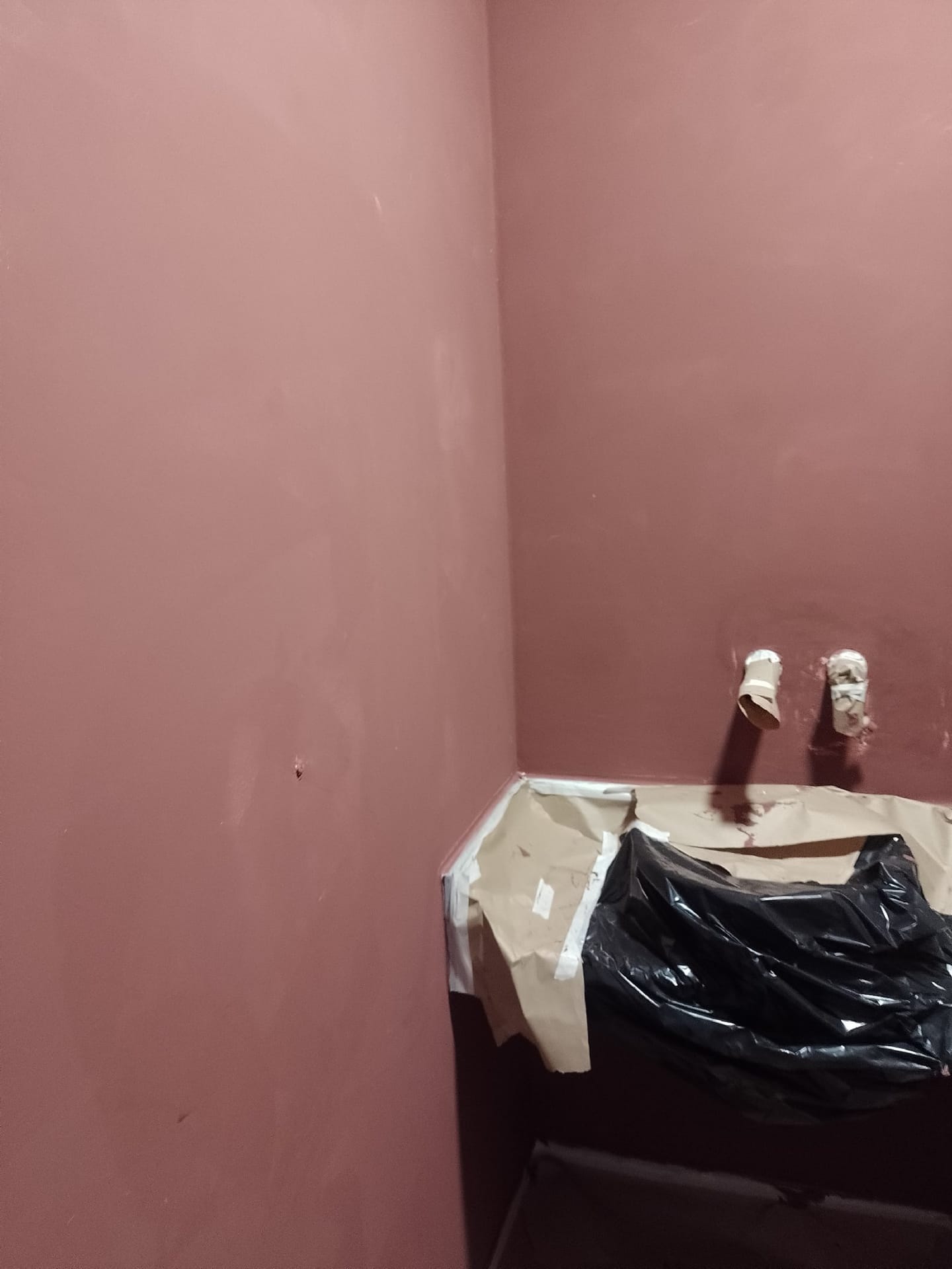 Pintura en baño. Estuco beneciano 4